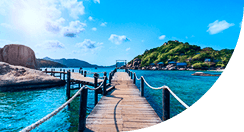 Tropical Beach