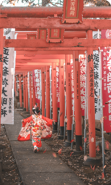 Traveler at Japan Gate